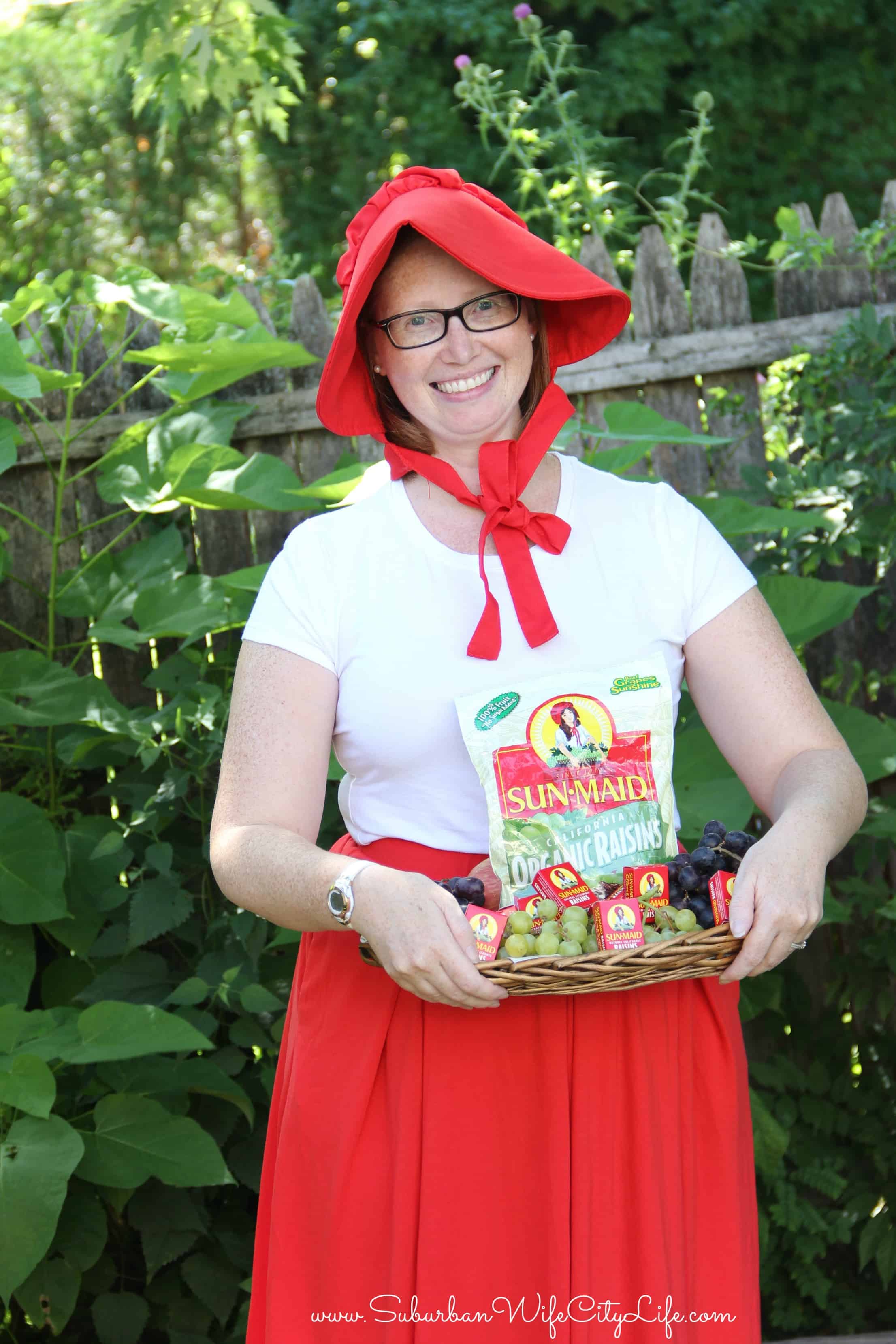 SunMaid Raisin Costume DIY Suburban Wife, City Life
