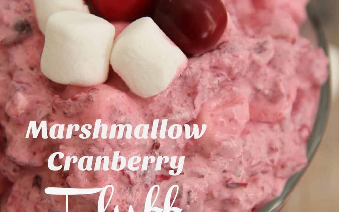 Marshmallow Cranberry Fluff Recipe