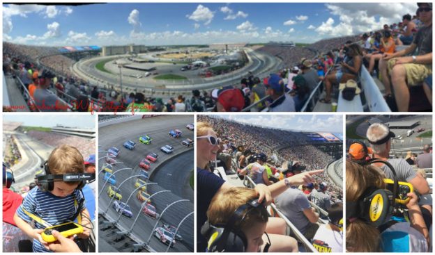 Dover Racetrack stands