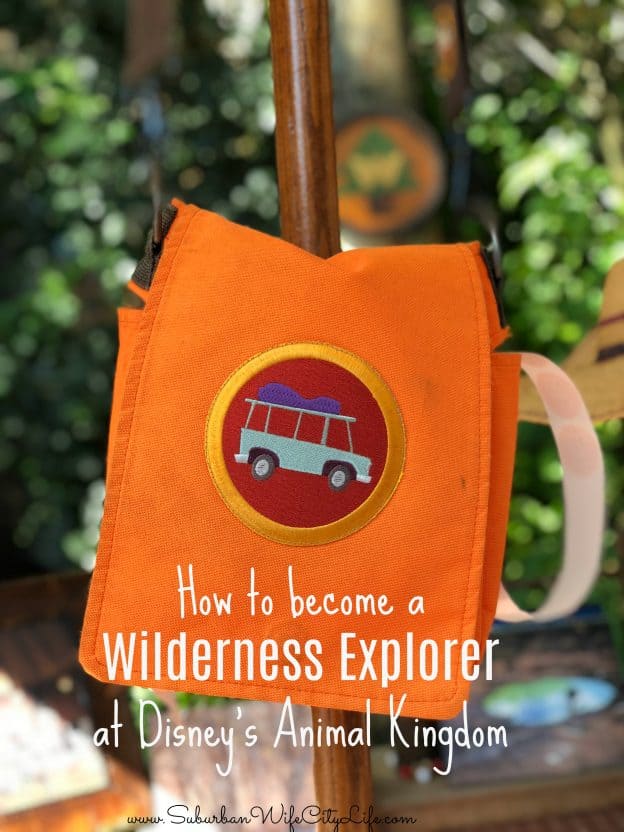 How to become a Wilderness Explorer