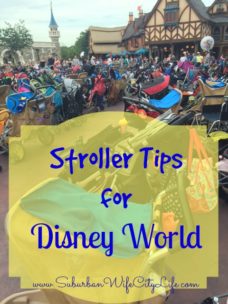 Stroller Tips for Disney World