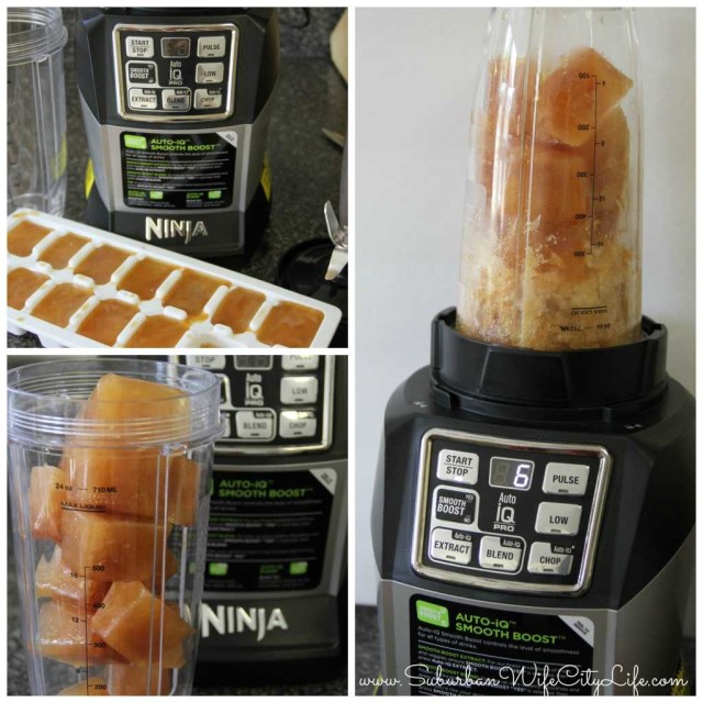 Apple Cider Ninja