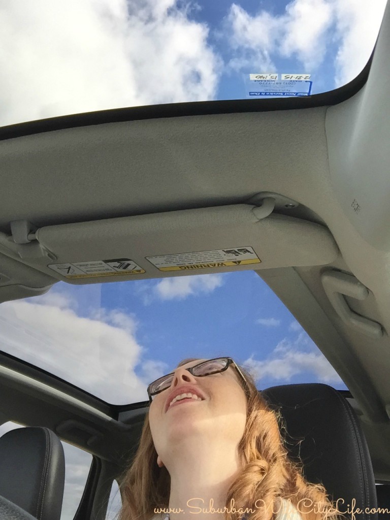 Mitsubishi Outlander Sport Skyroof