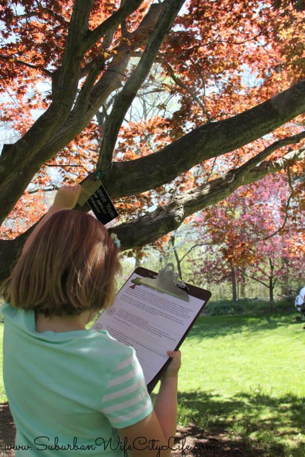 Meet the Tree at Reeves Reed Arboretum