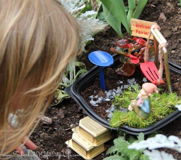 Fairy Garden