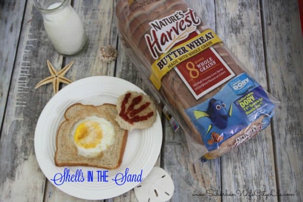 Shells in the Sand - Nature's Harvest #ad
