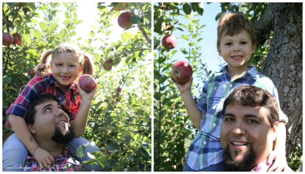 Apple Picking 2016