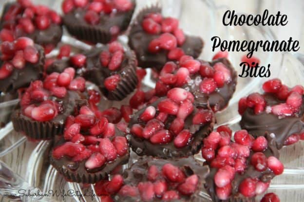 Chocolate Pomegranate Bites with Sea Salt