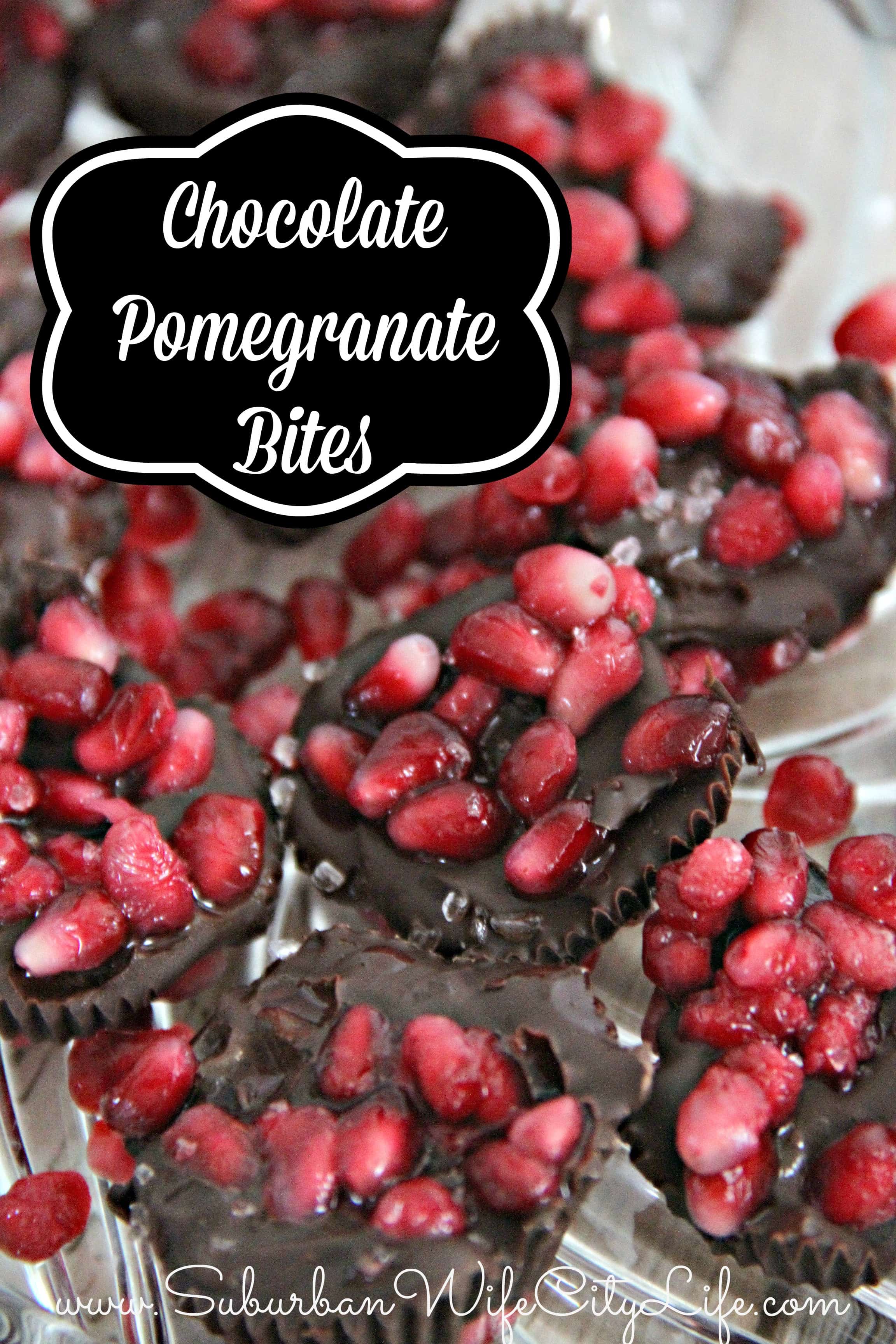 Chocolate Pomegranate Bites