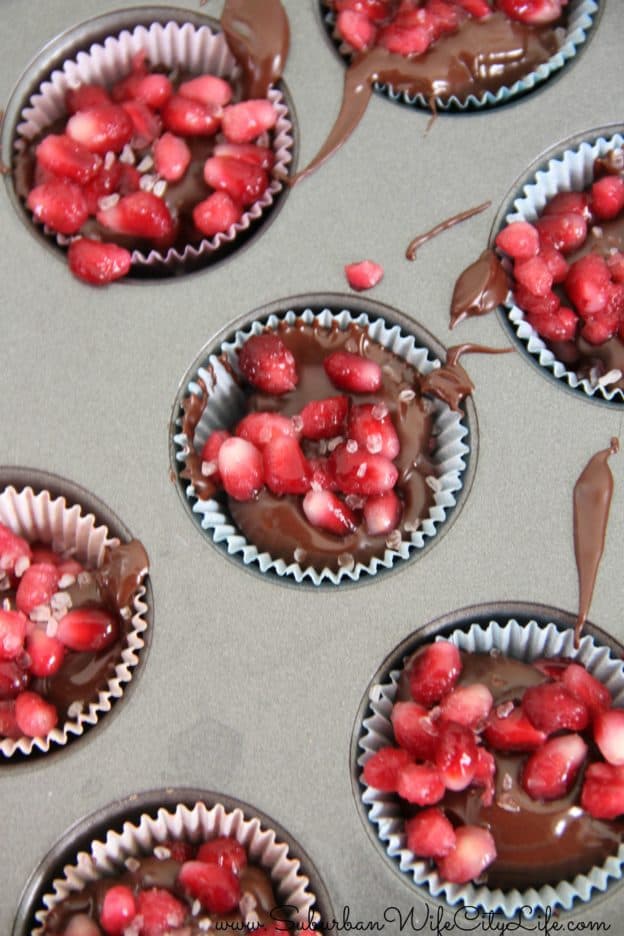 Chocolate Pomegranate Bites