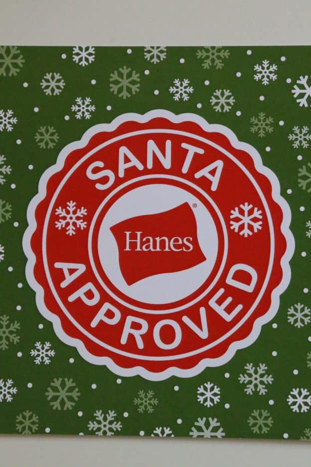 Santa Approved Hanes