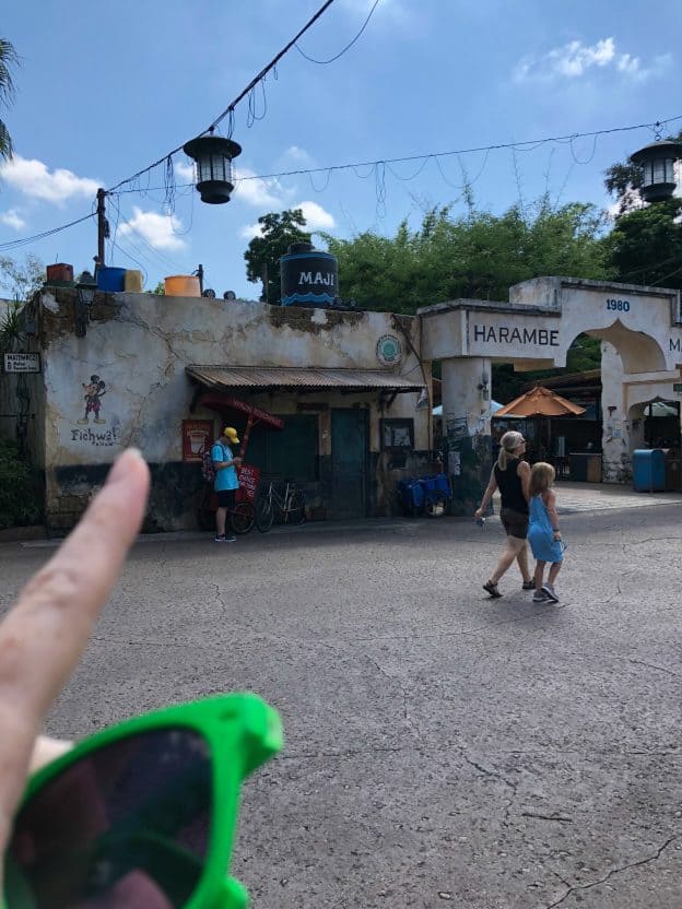 Harambe Fichwa Wall