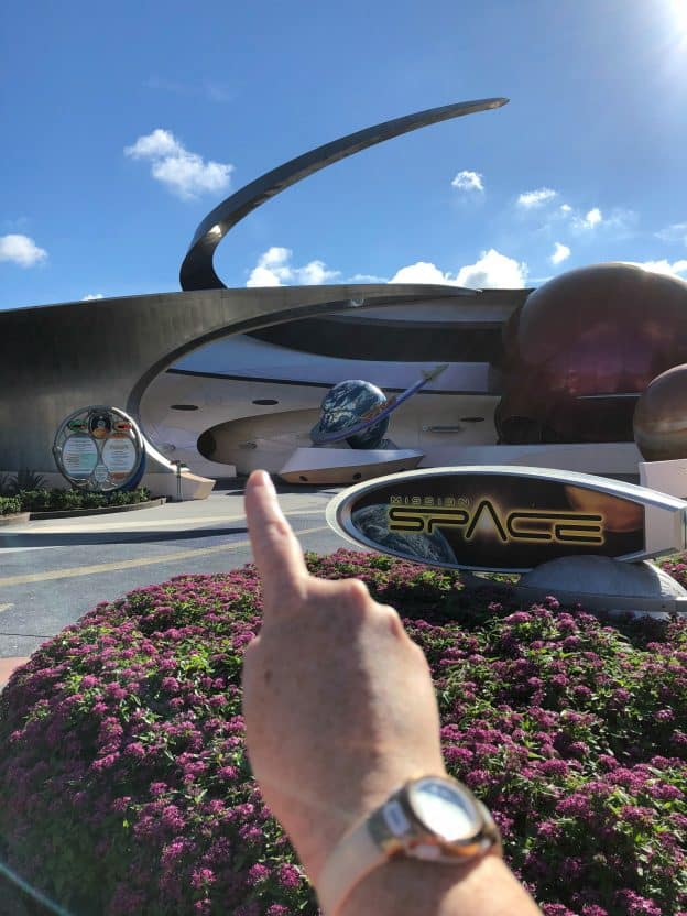 Rose Gold Wall Epcot