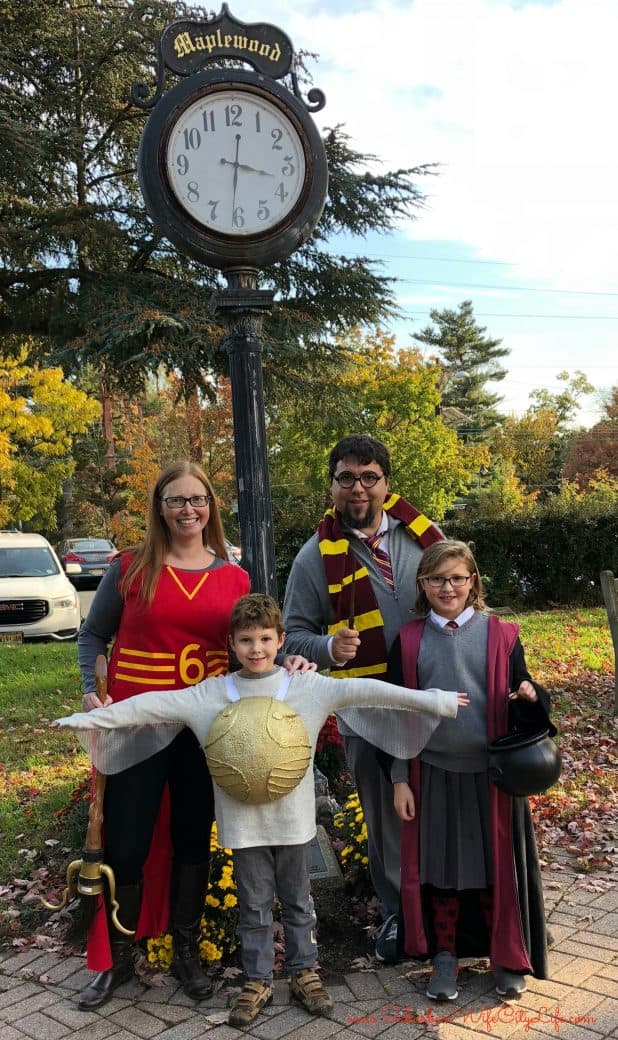 Harry Potter family costumes
