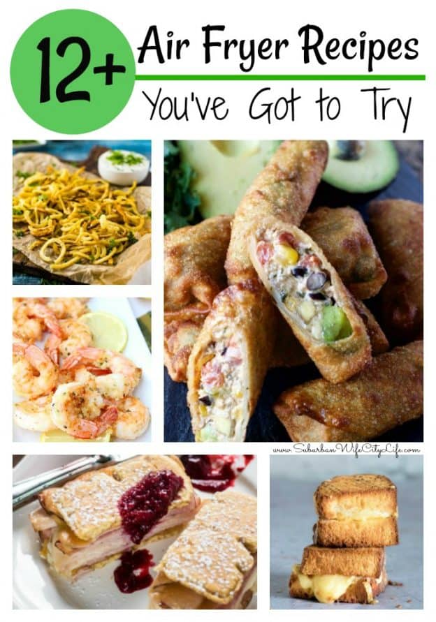 12+ Air Fryer Recipes you've got to try