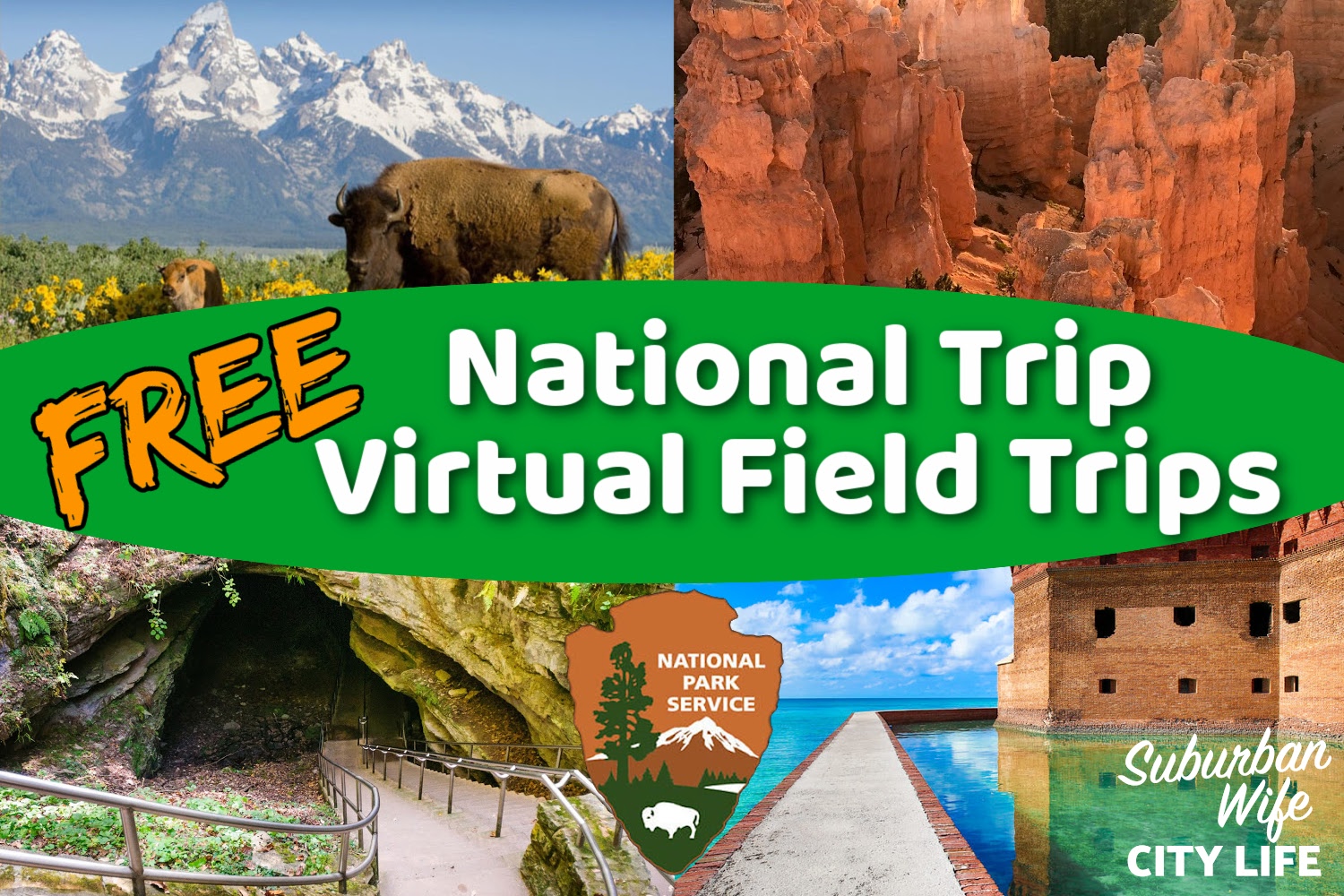 us national parks virtual field trips